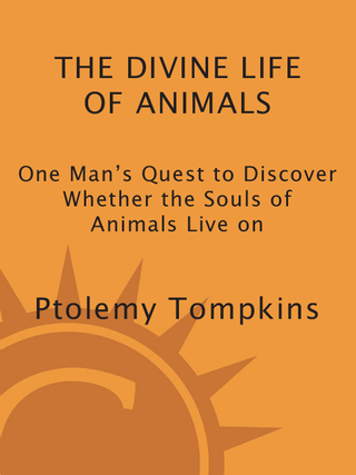 The Divine Life of Animals