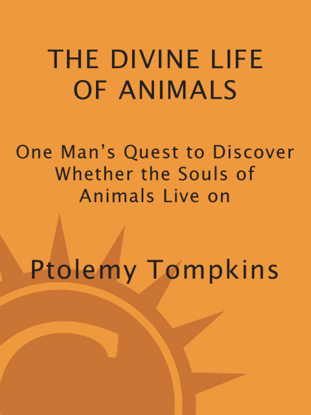 The Divine Life of Animals