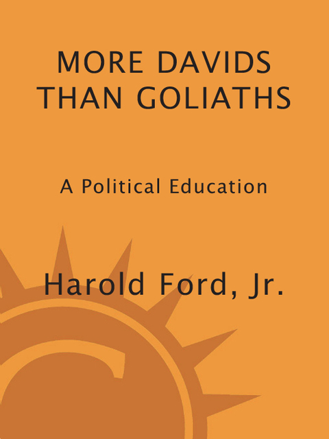 Cover image for book More Davids Than Goliaths