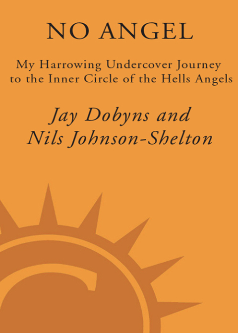 Cover image for book No Angel