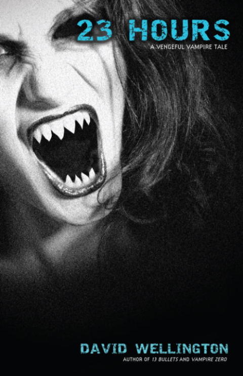 Cover image for book 23 Hours