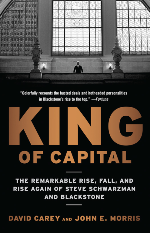 Cover image for book King of Capital