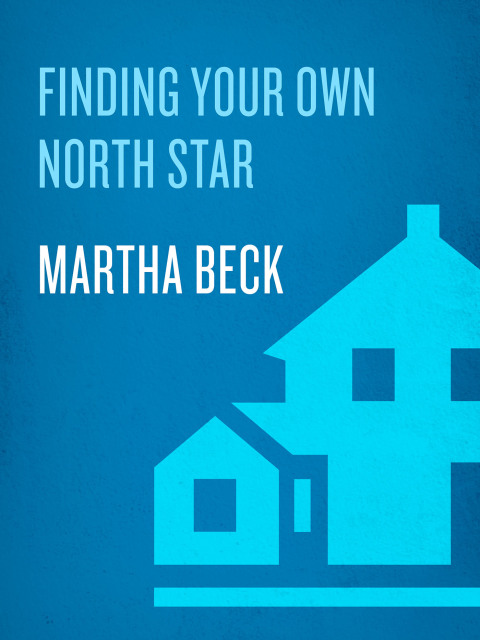 Cover image for book Finding Your Own North Star