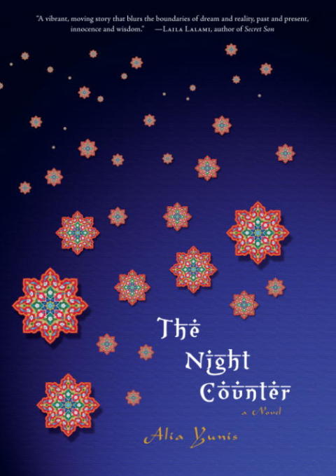 Cover image for book The Night Counter