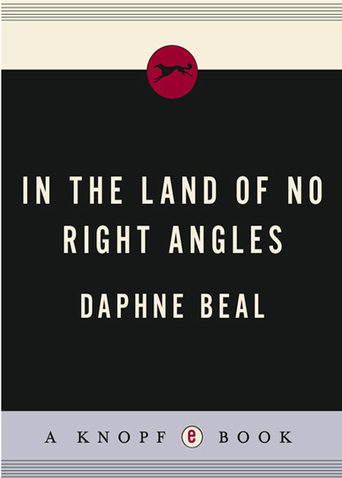 Cover image for book In the Land of No Right Angles