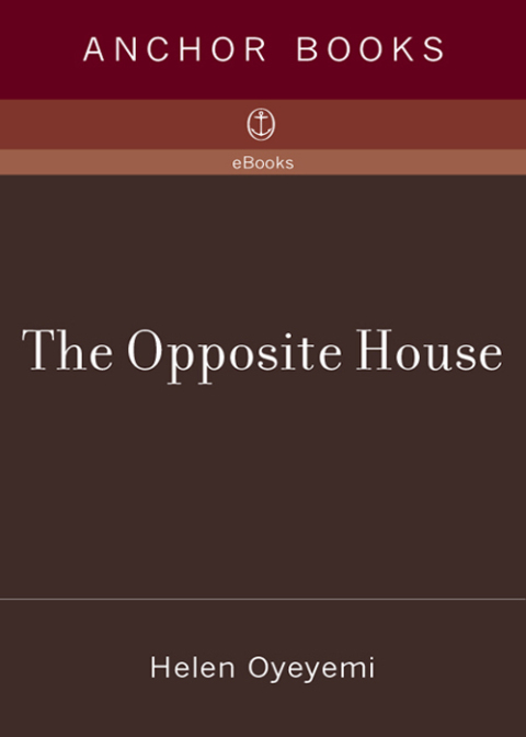 Cover image for book The Opposite House