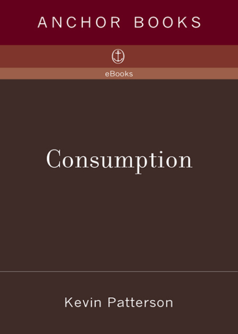 Cover image for book Consumption