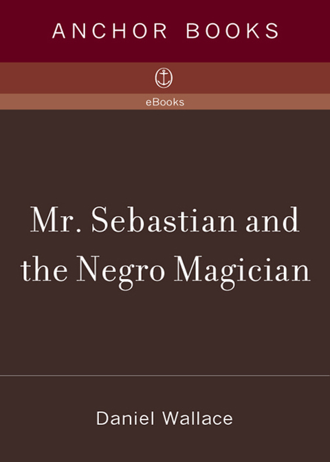 Cover image for book Mr. Sebastian and the Negro Magician