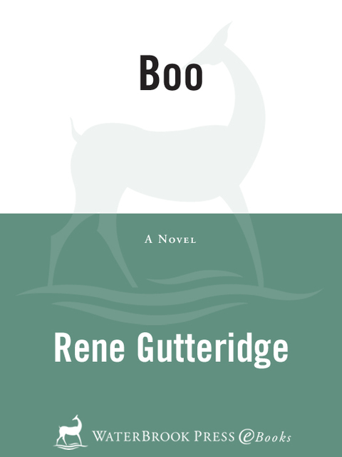 Cover image for book Boo