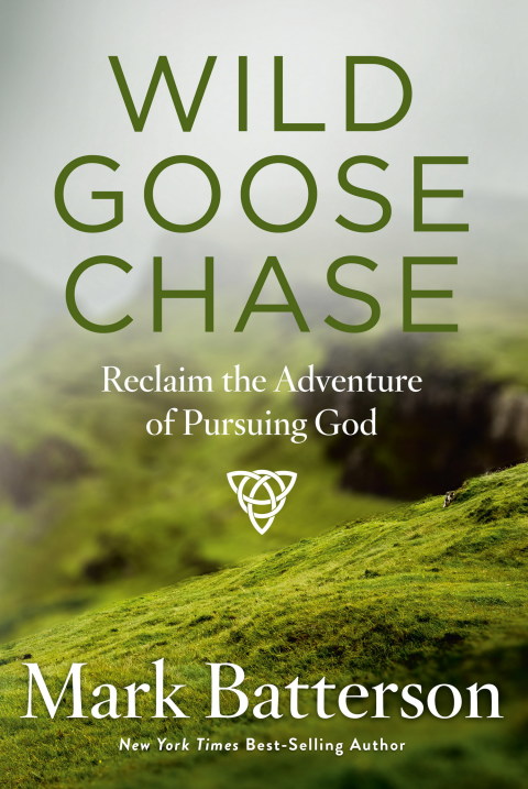 Cover image for book Wild Goose Chase