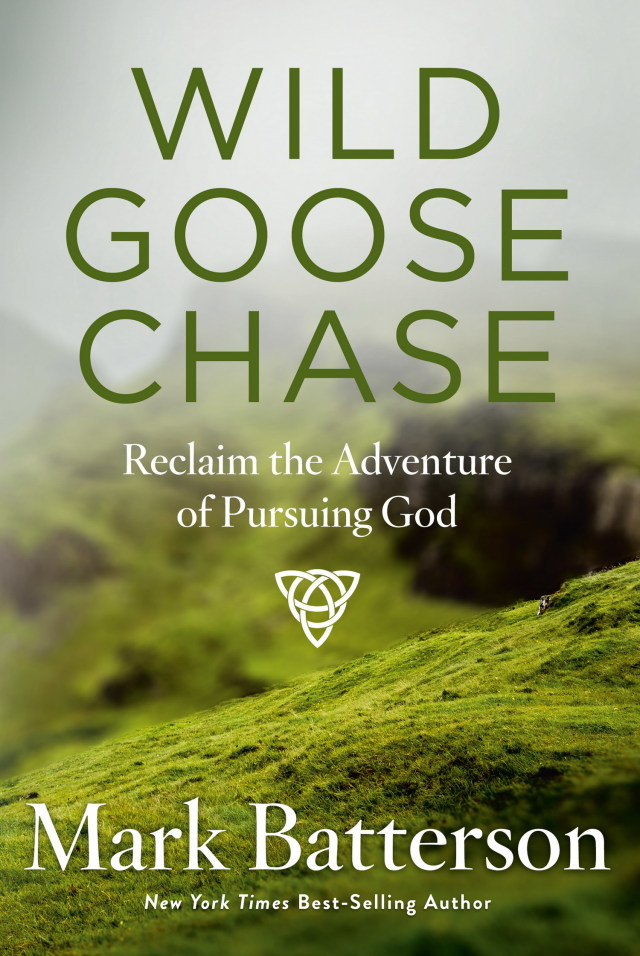 Wild Goose Chase