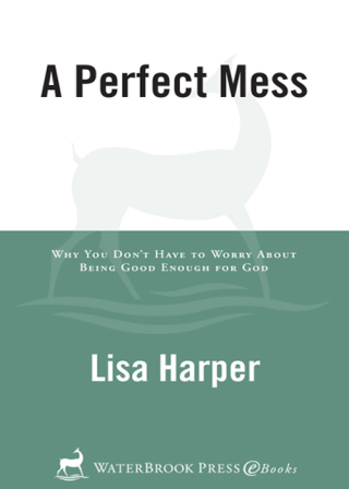 A Perfect Mess