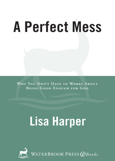 Cover image for book A Perfect Mess