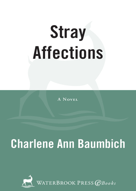Cover image for book Stray Affections