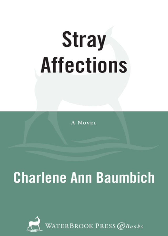Stray Affections