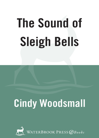 The Sound of Sleigh Bells