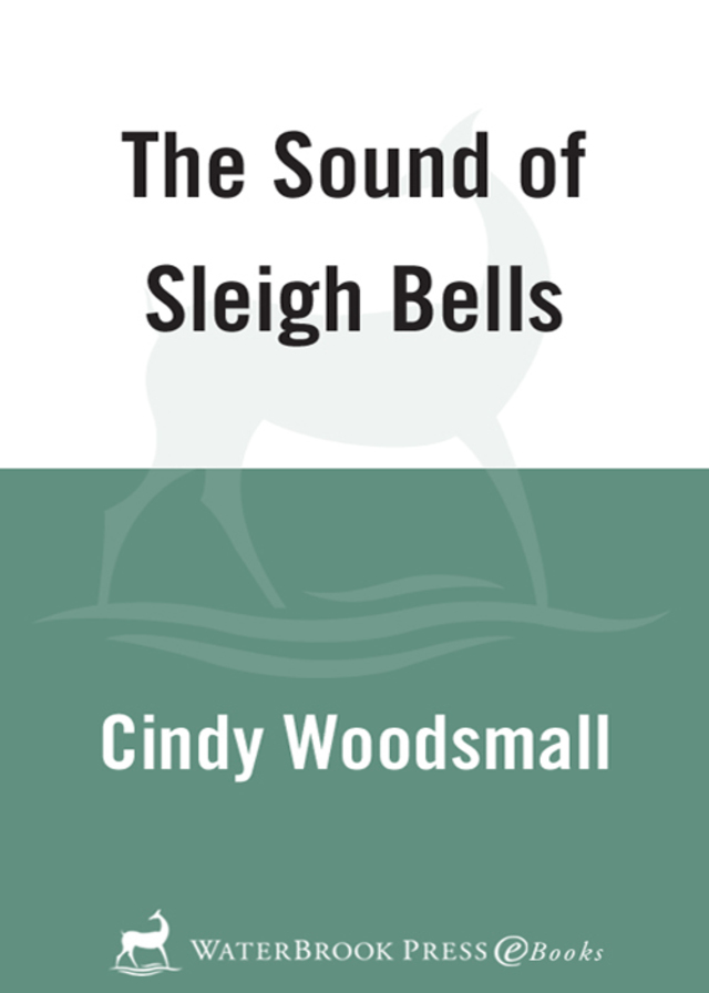 The Sound of Sleigh Bells