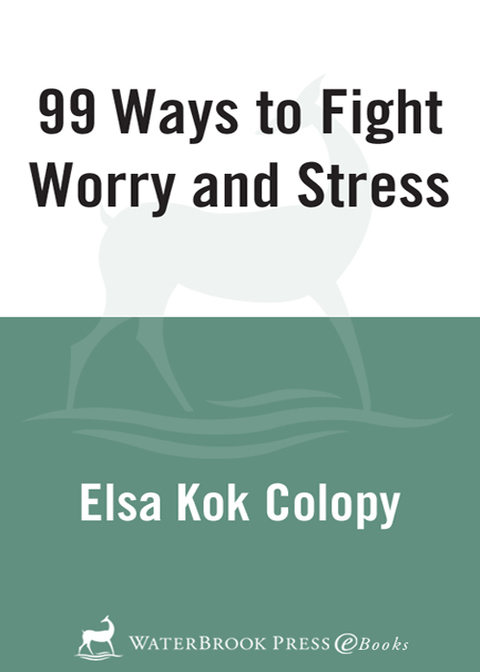 Cover image for book 99 Ways to Fight Worry and Stress