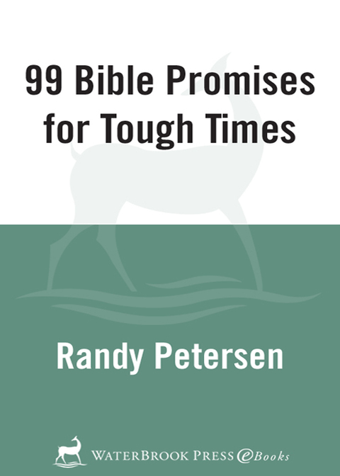 Cover image for book 99 Bible Promises for Tough Times