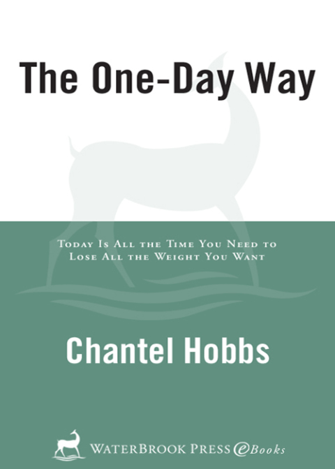 Cover image for book The One-Day Way