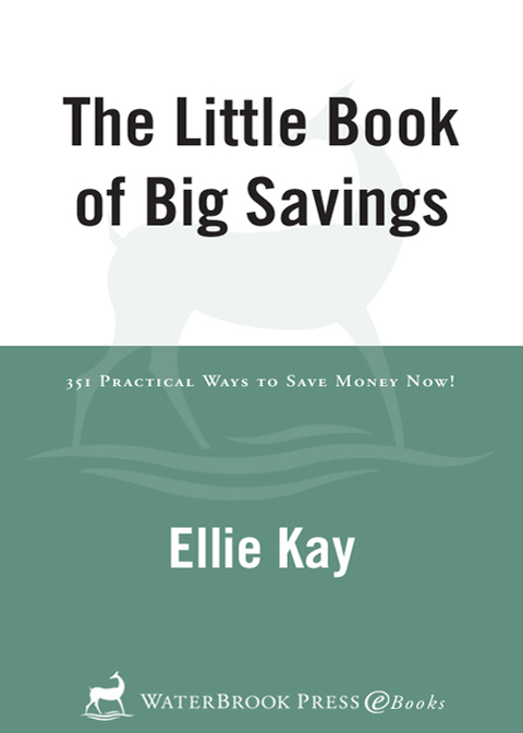 Cover image for book The Little Book of Big Savings