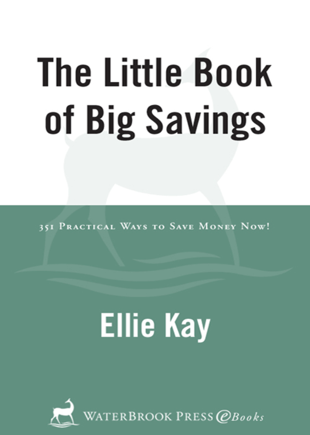 The Little Book of Big Savings