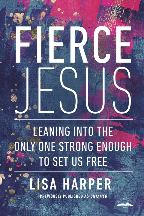 Cover image for book Fierce Jesus