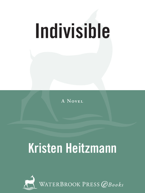 Cover image for book Indivisible