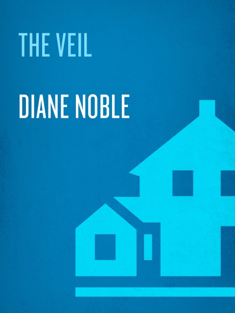 Cover image for book The Veil
