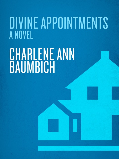 Cover image for book Divine Appointments