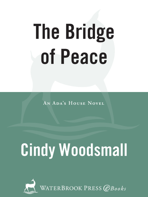 Cover image for book The Bridge of Peace