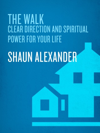 The Walk