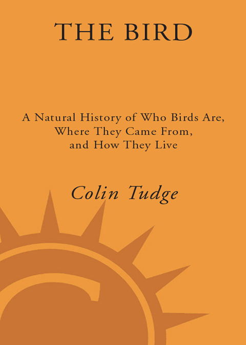 Cover image for book The Bird