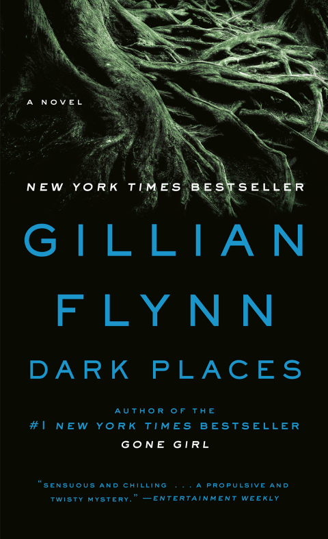 Cover image for book Dark Places