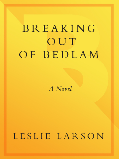 Cover image for book Breaking Out of Bedlam