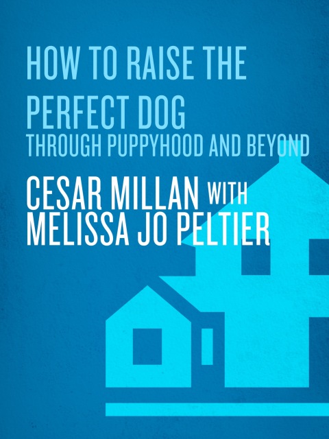 Cover image for book How to Raise the Perfect Dog