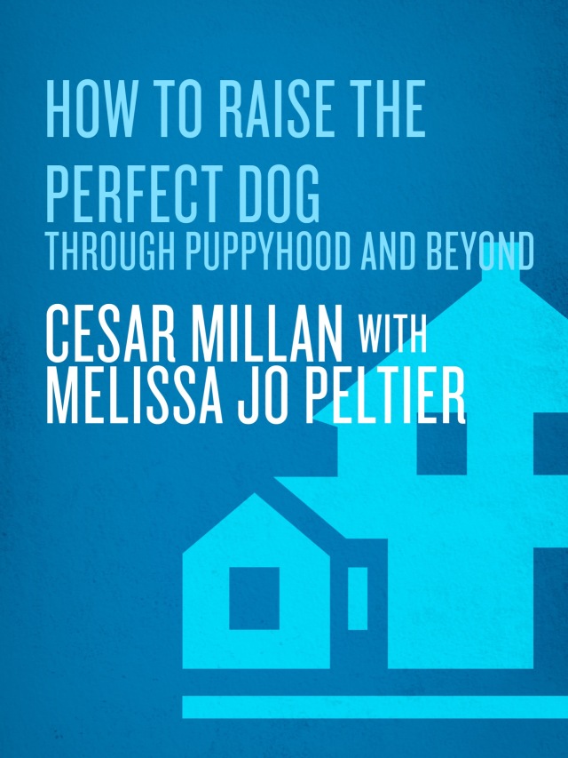 How to Raise the Perfect Dog