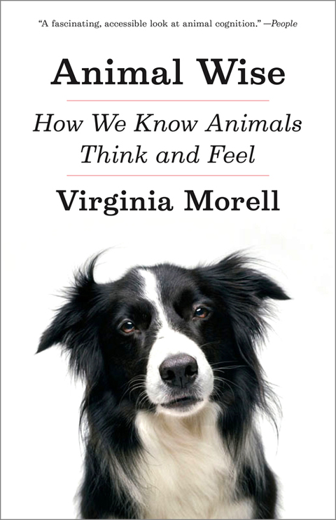 Cover image for book Animal Wise