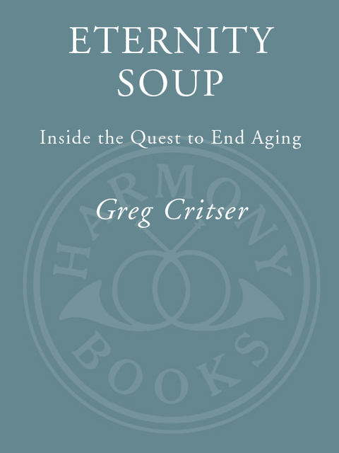 Cover image for book Eternity Soup