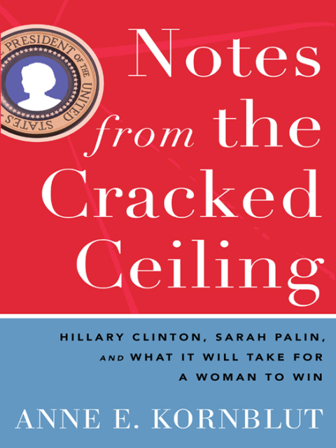 Cover image for book Notes from the Cracked Ceiling