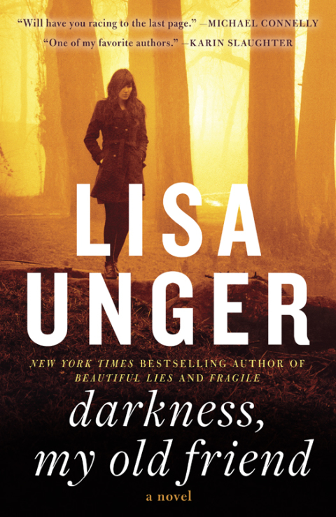 Cover image for book Darkness, My Old Friend