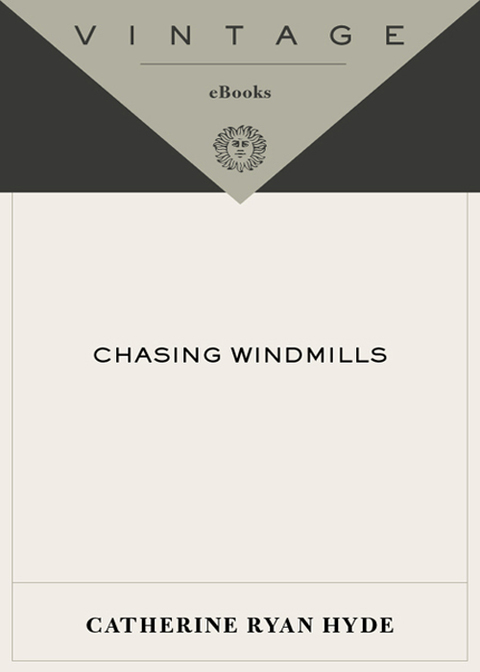 Cover image for book Chasing Windmills