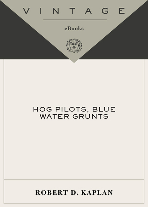 Cover image for book Hog Pilots, Blue Water Grunts