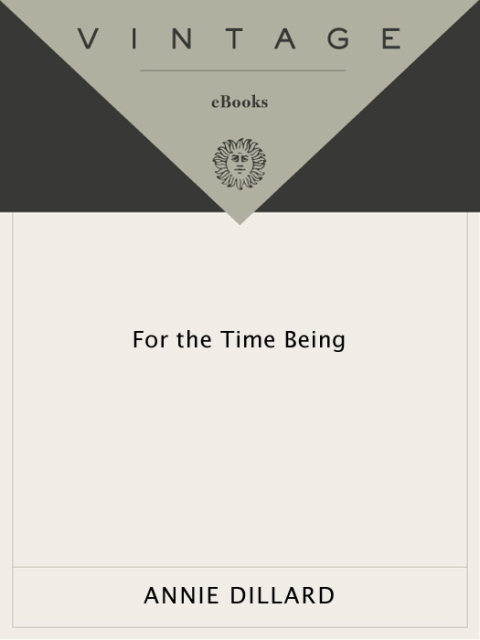 Cover image for book For the Time Being