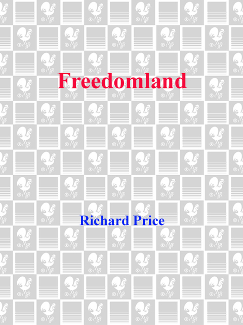 Cover image for book Freedomland