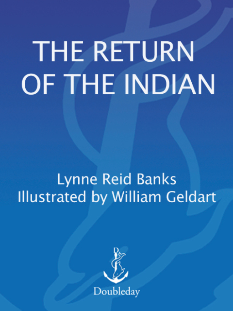 Cover image for book The Return of the Indian