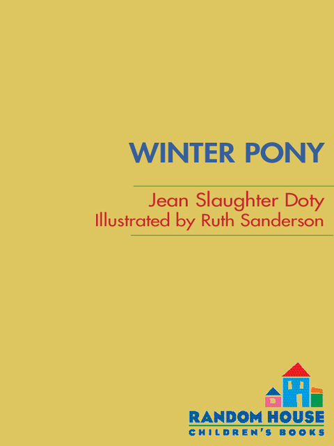 Cover image for book Winter Pony