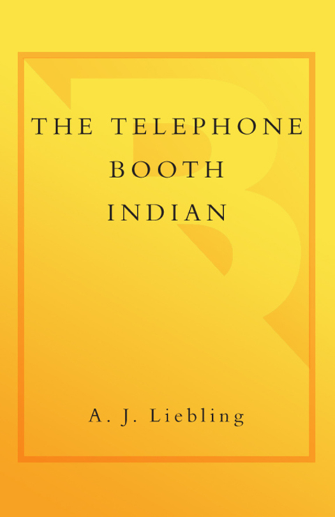Cover image for book The Telephone Booth Indian