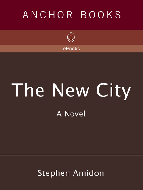 Cover image for book The New City