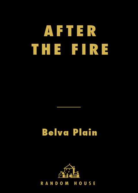 Cover image for book After the Fire